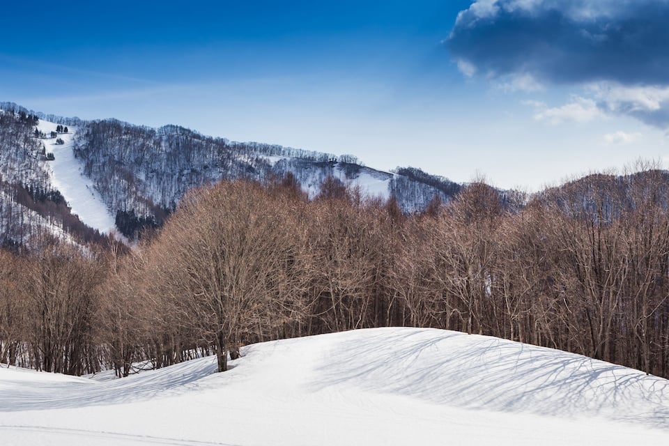 Paisagem montanhosa coberta de neve, com árvores desfolhadas e céu claro.