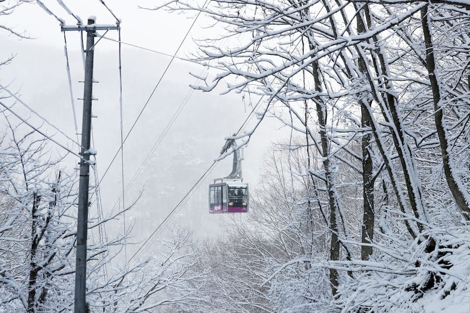 A snow-covered forest with a cable car suspended between trees.