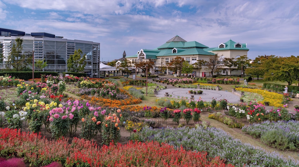 Niigata_NiigataFurusatoVillage_553248621532775735-1406