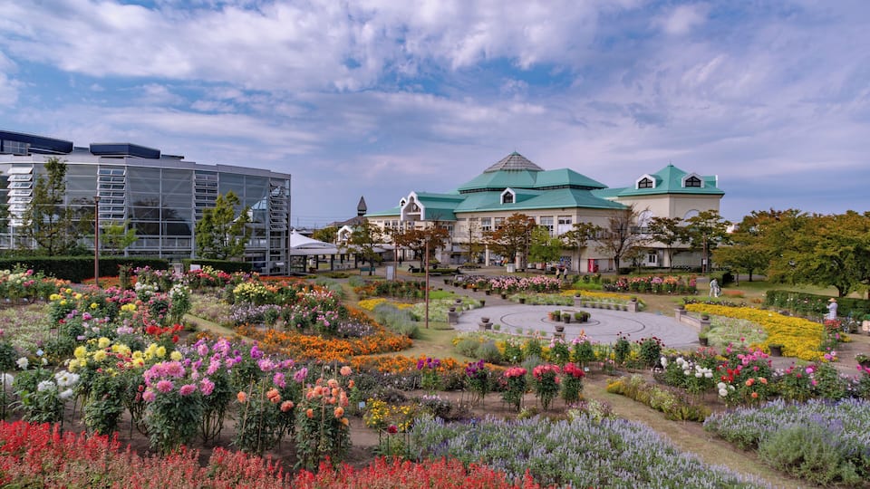 Niigata_NiigataFurusatoVillage_553248621532775735-1406