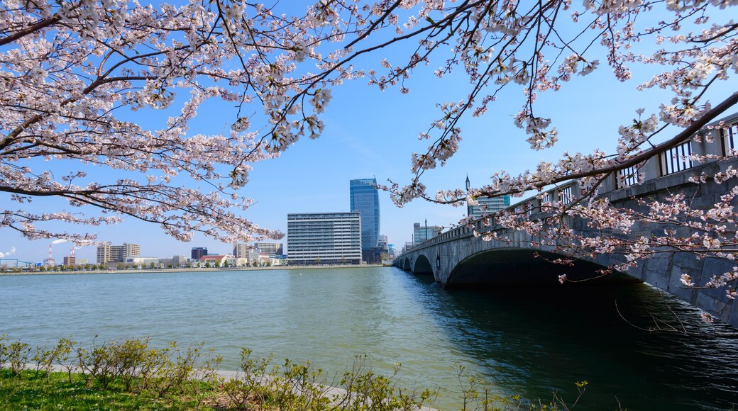 Bandai bridge and Cherry blossoms in Niigata, Japan; Shutterstock ID 254773054; purchase_order: SF 06557000; job: ; client: ; other: