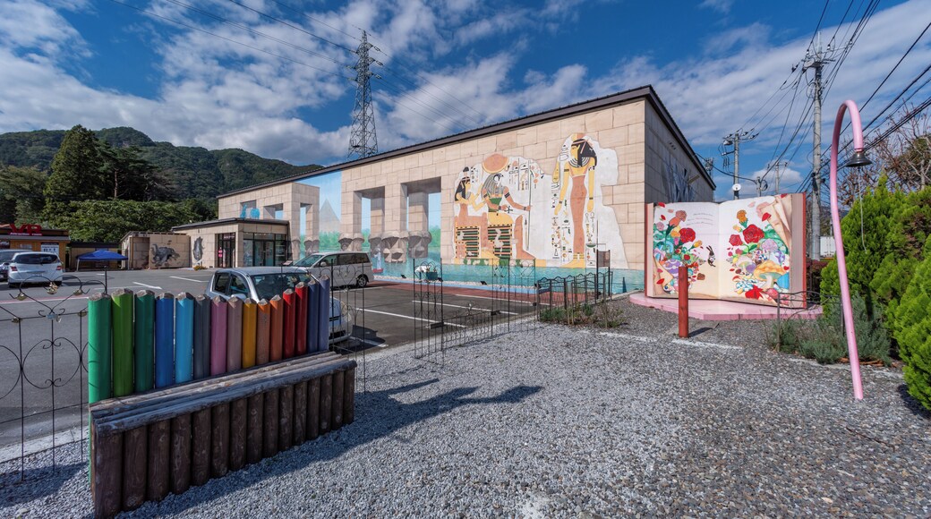 Museum voor Optische Illusies