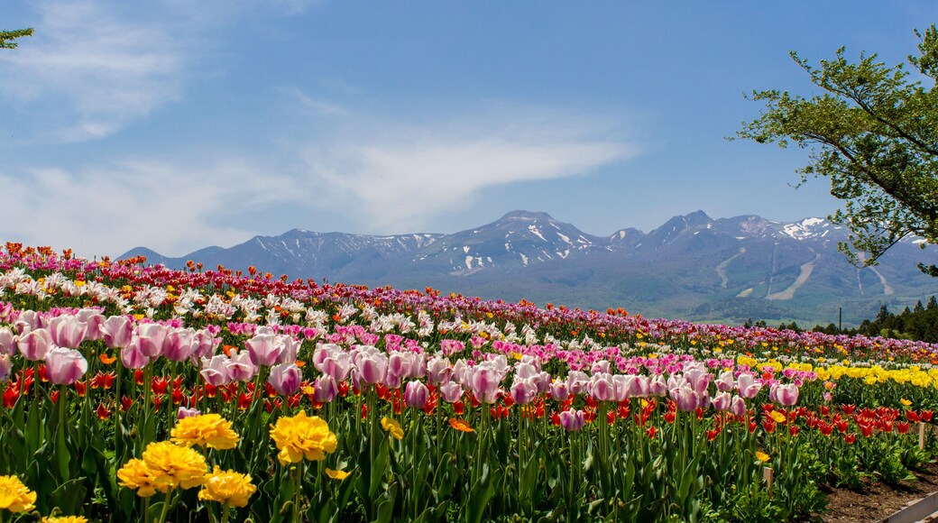 那須フラワー ワールド