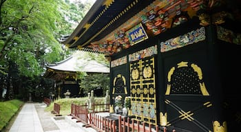 Quận Aoba