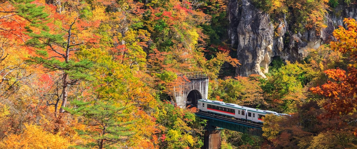 Un train sur un pont, au milieu d’une forêt aux couleurs automnales.