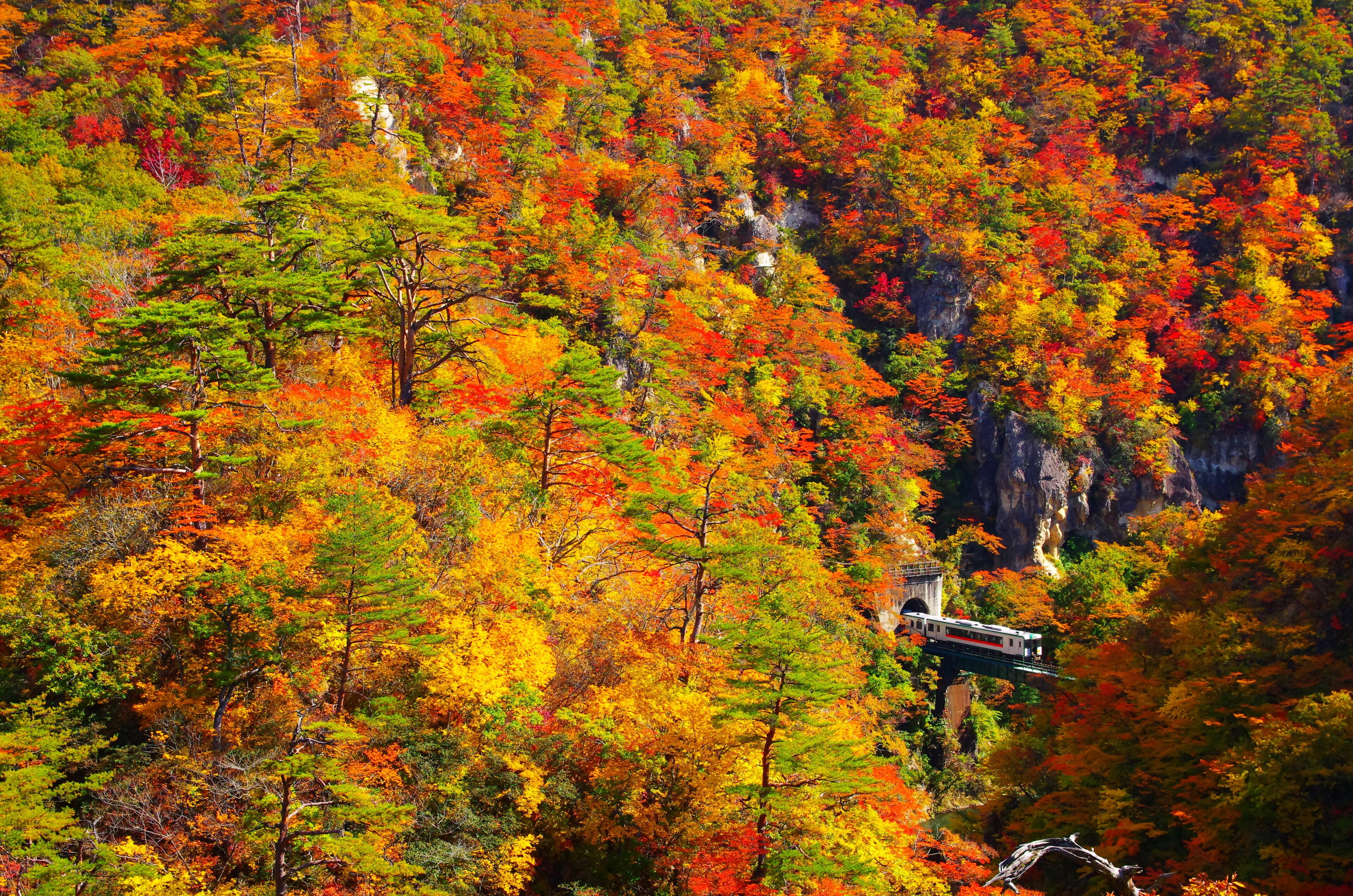 宮城、鳴子峡の紅葉