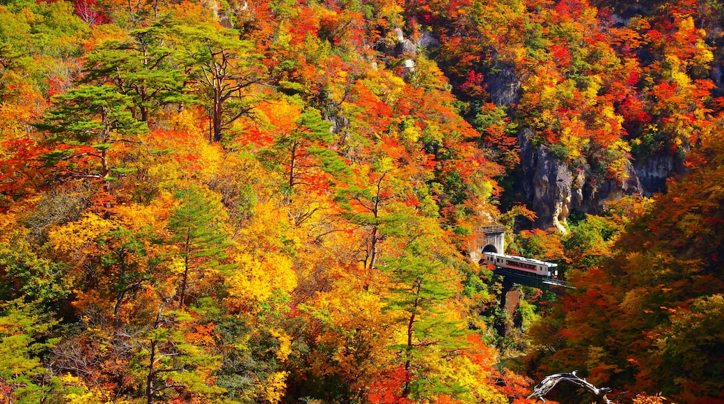 宮城、鳴子峡の紅葉