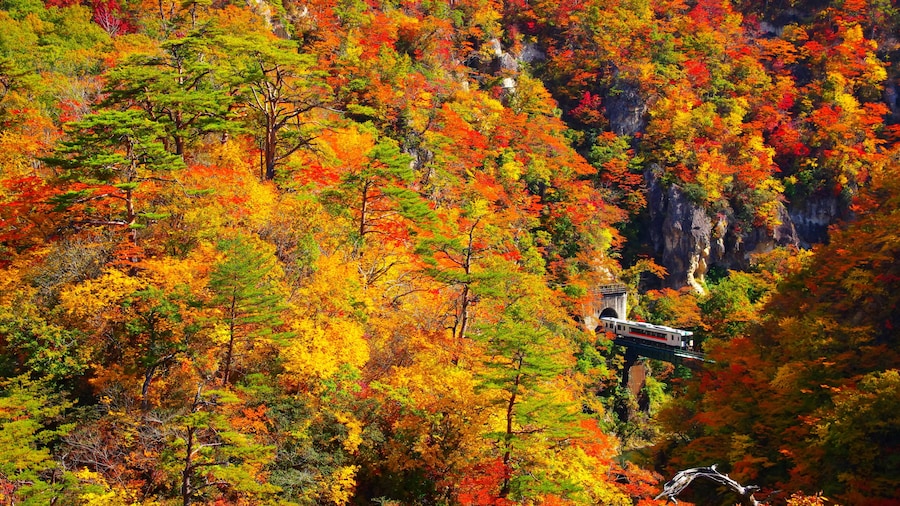 宮城、鳴子峡の紅葉