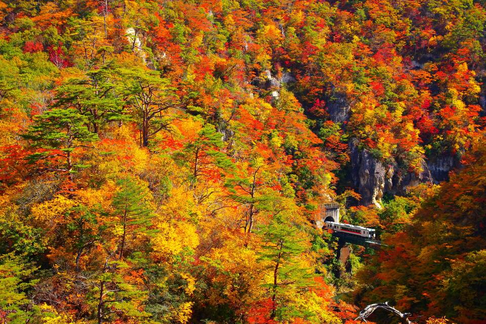 A mountainous landscape with autumn foliage and a bridge.