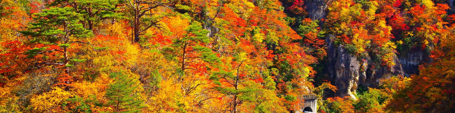 宮城、鳴子峡の紅葉