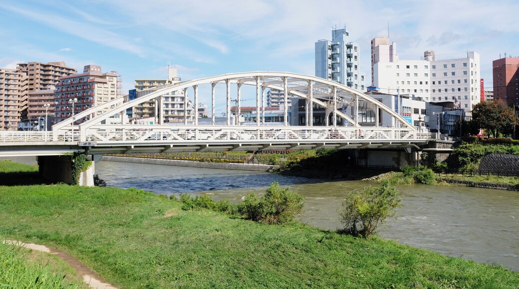 Morioka_KaiunbashiBridge_553248621532776453_06