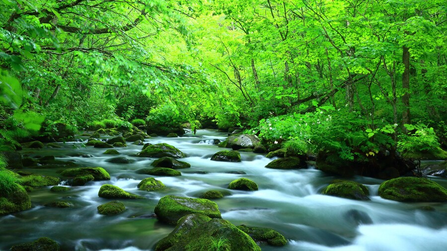 Oirases kanjon