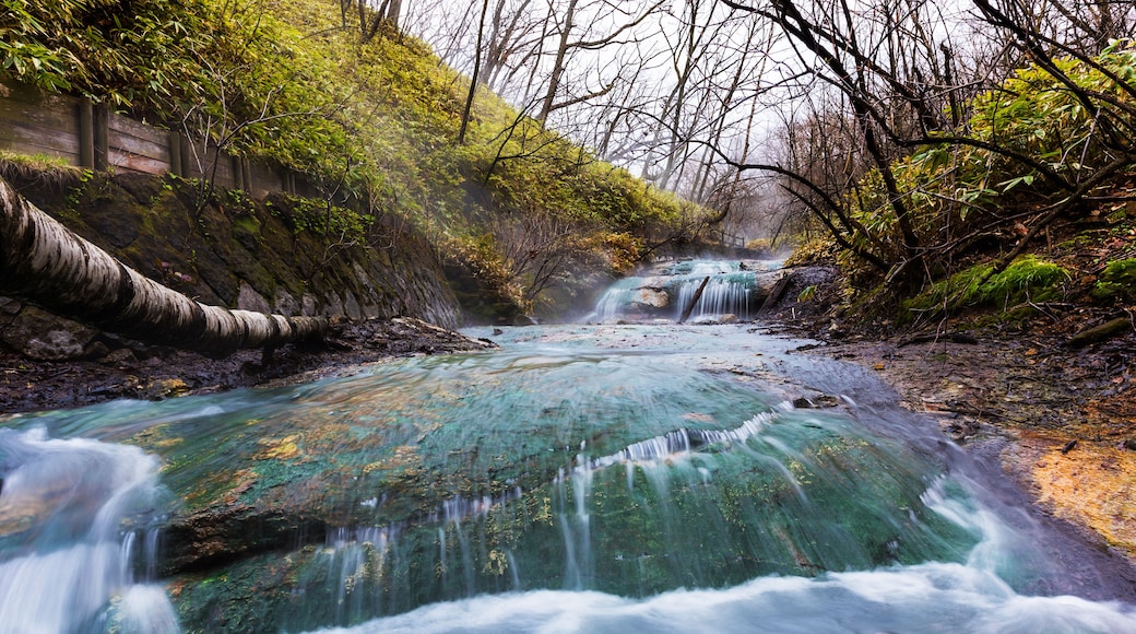 Oyunumagawa Hot spring water stream with colorful rock near Jigokudani hell valley, Noboribetsu, Hokkaido, Japan. Here is famous for visitors to heal foot by hot spring water.; Shutterstock ID 4318119