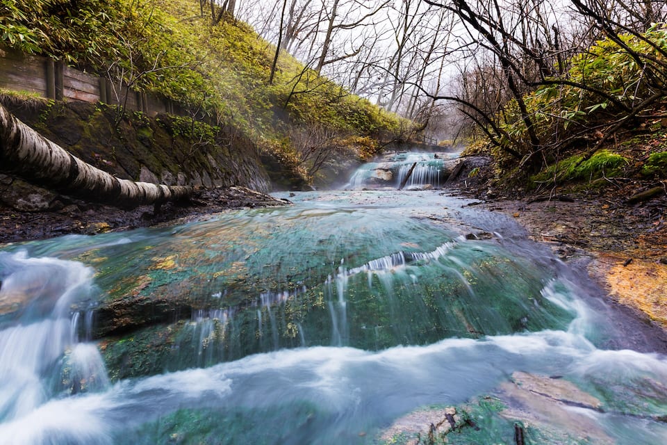 A river flowing through a forested area with moss-covered rocks and trees.