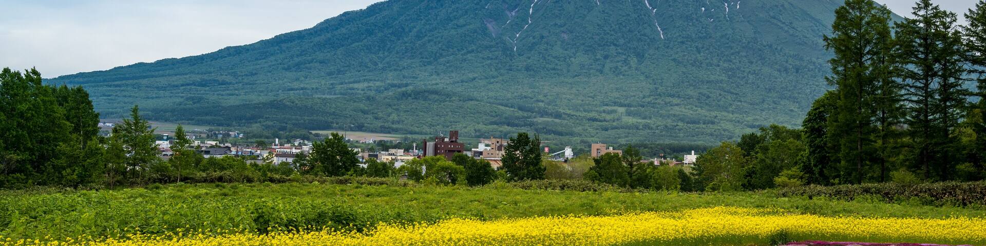 Beautiful view of Mishima's Shibazakura garden and Mount Yotei, Kutchan, Hokkaido Prefecture, Japan, Shutterstock ID 663922210, SF SSA Case with Manager Approval: Case 07151371, Job: Prepay credit, Cl