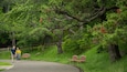 A curved road with benches and trees.