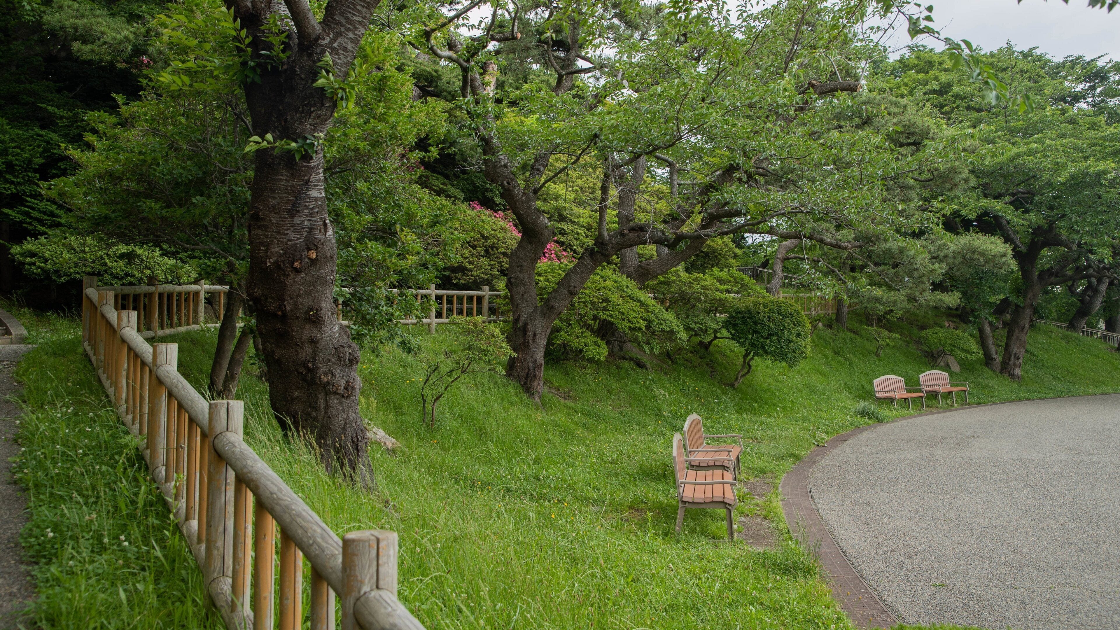 A park with a wooden fence, benches, and lush greenery.