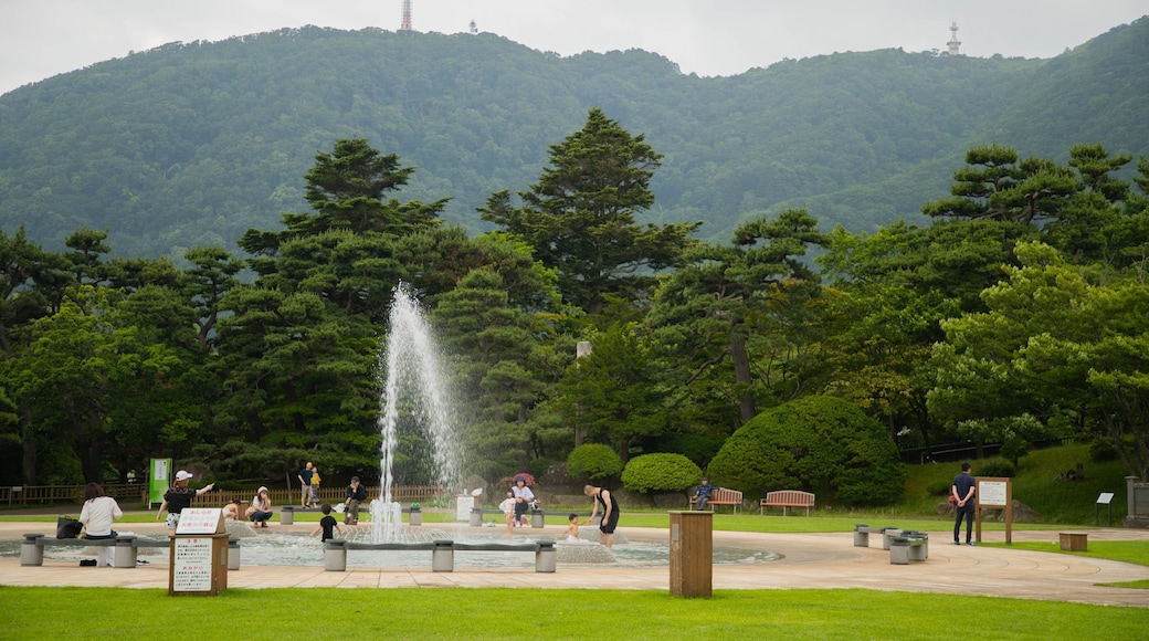 Hakodate Park which includes a fountain, swimming and a pool