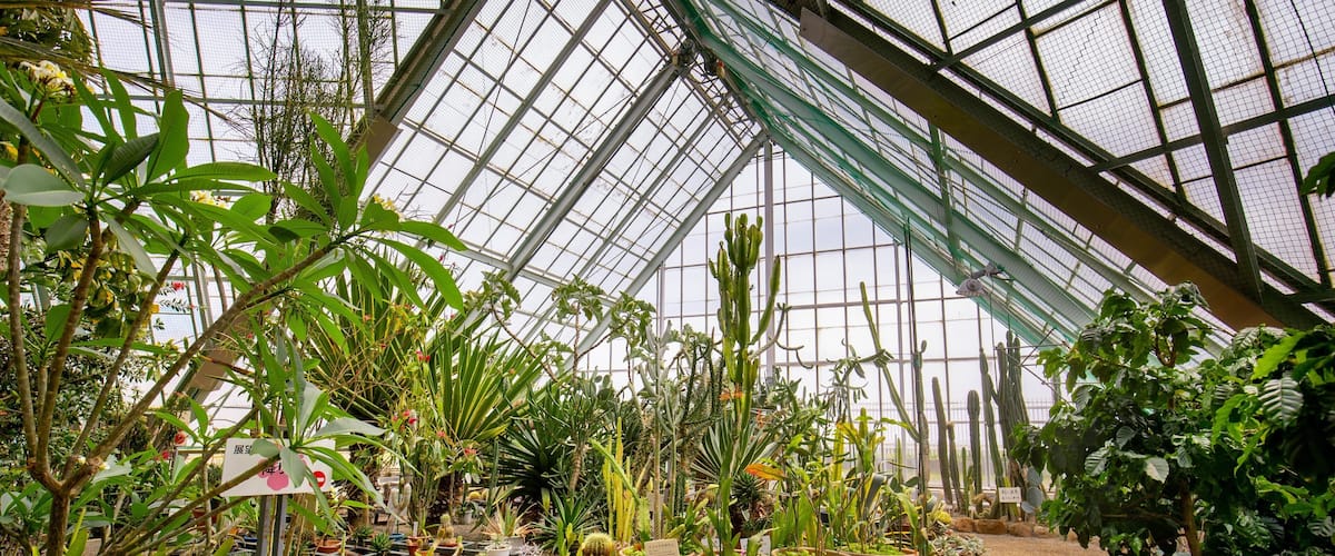 Hakodate Tropical Botanical Garden