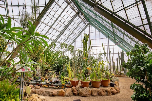 Hakodate Tropical Botanical Garden