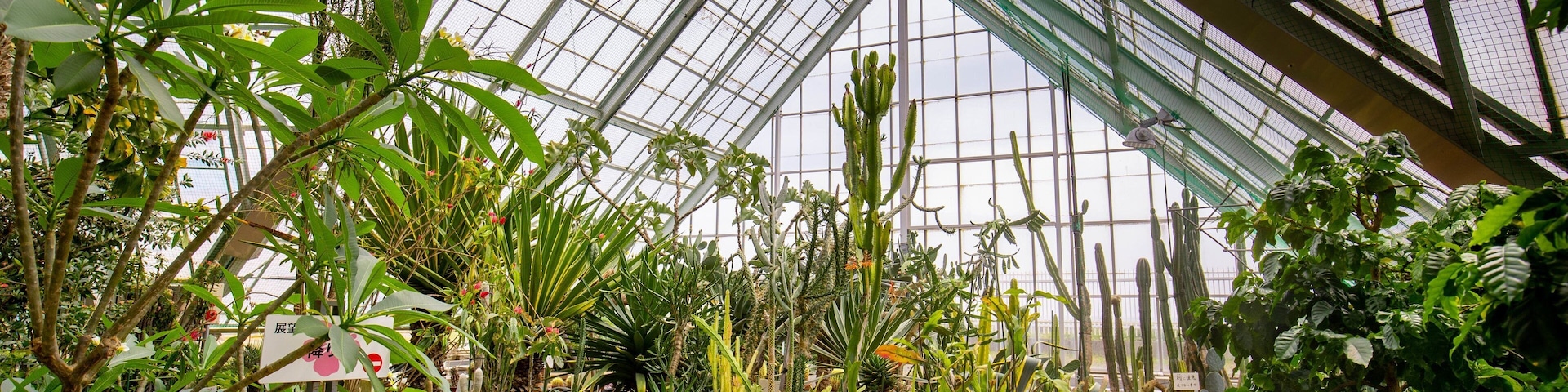 Hakodate Tropical Botanical Garden