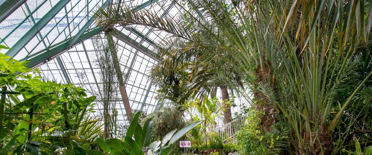 Hakodate Tropical Botanical Garden