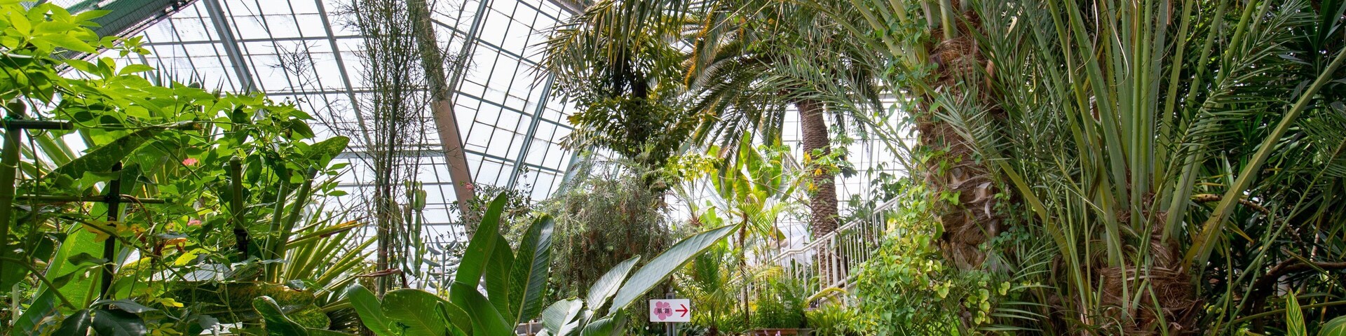 Hakodate Tropical Botanical Garden