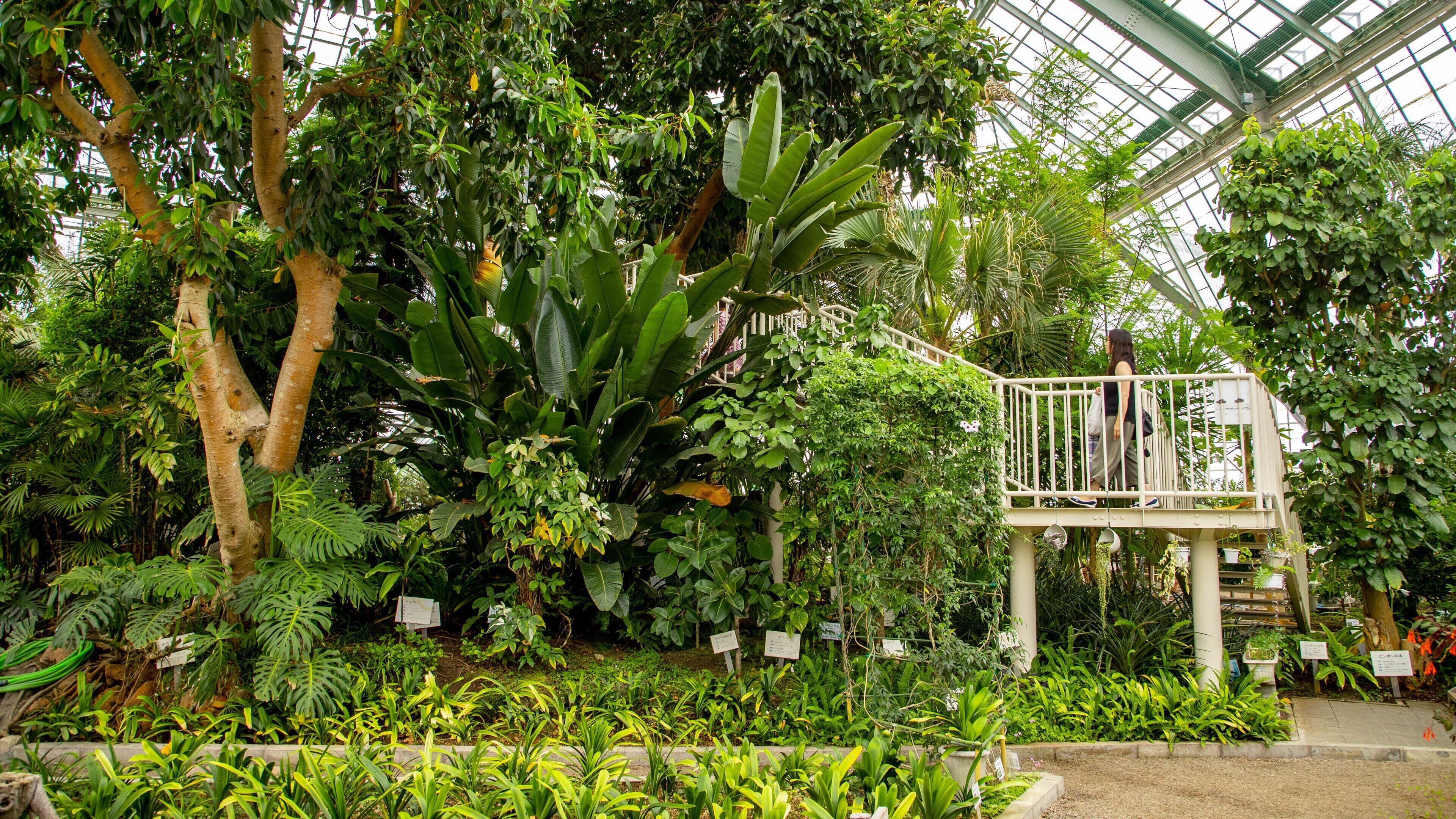 Hakodate Tropical Botanical Garden