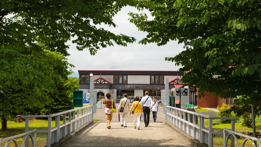 Nikka Whiskey Distillery Yoichi