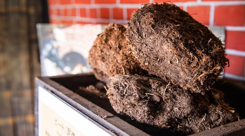 Nikka Whiskey Distillery Yoichi