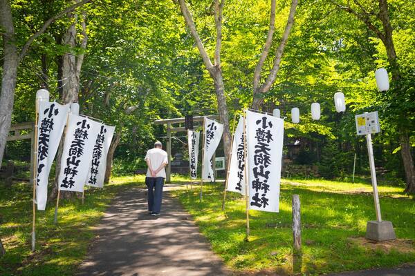 Mount Tengu showing signage and a park as well as an individual male