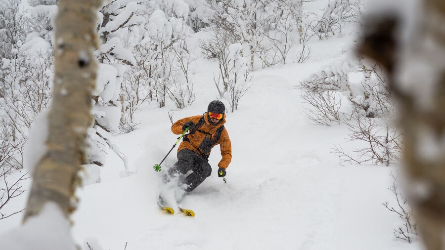 Station de ski Sapporo Teine