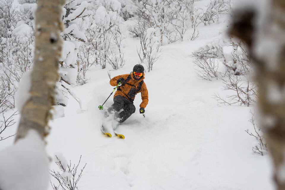 A skier in an orange jacket skiing down a snowy slope surrounded by trees.