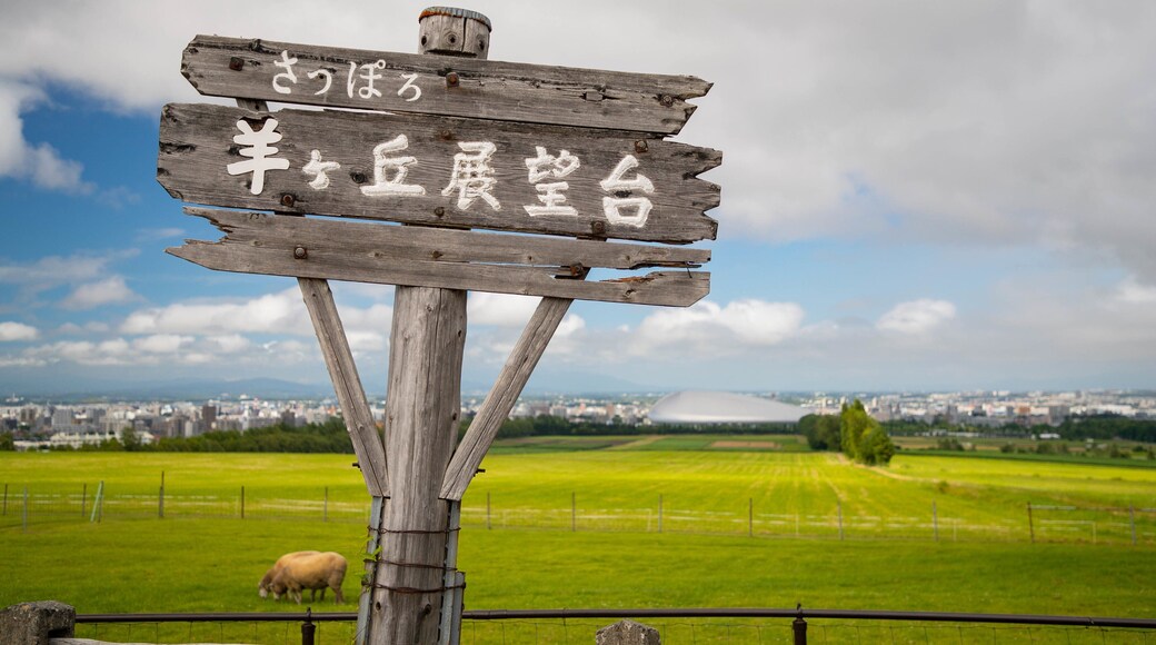 Hitsujigaoka Observatory