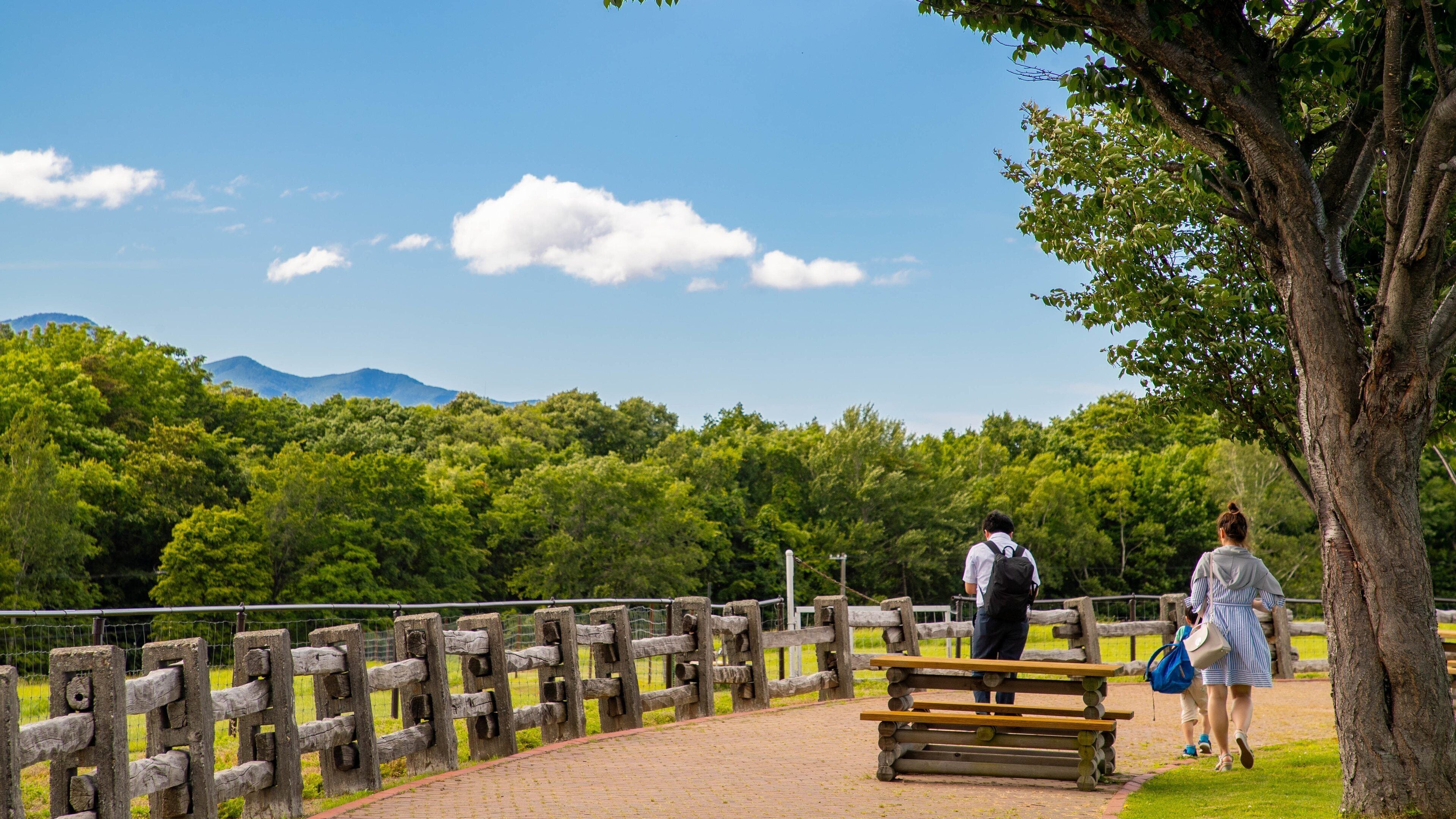 Hitsujigaoka Observatory which includes a garden as well as a family