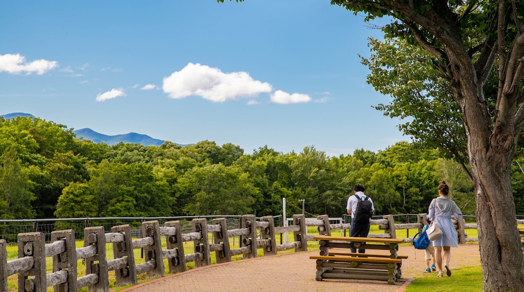 Hitsujigaoka Observatory which includes a garden as well as a family