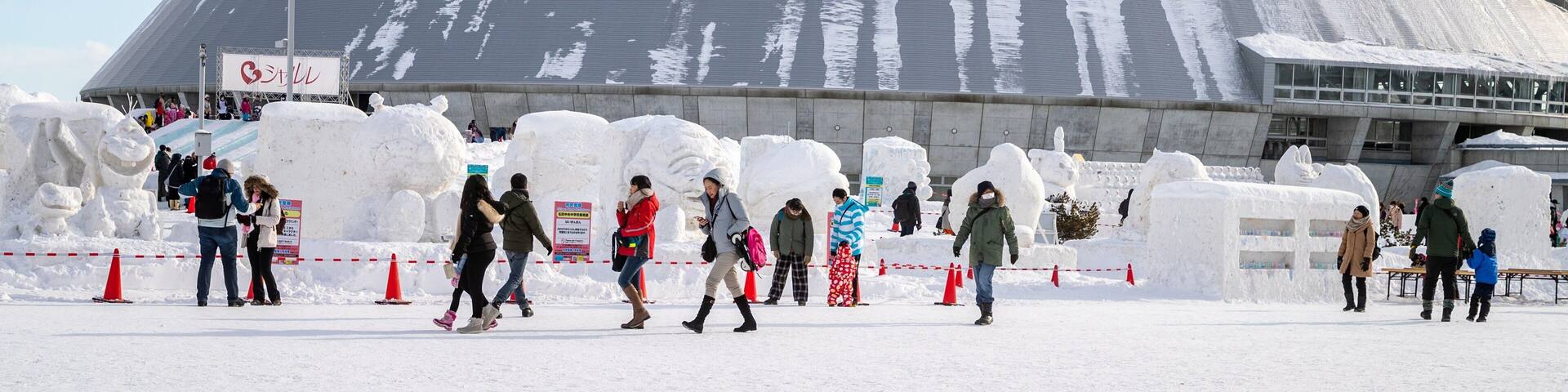 Sapporo Community Dome