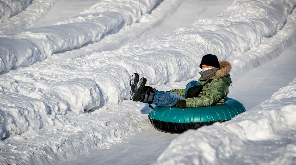 Sapporo Community Dome showing snow tubing and snow