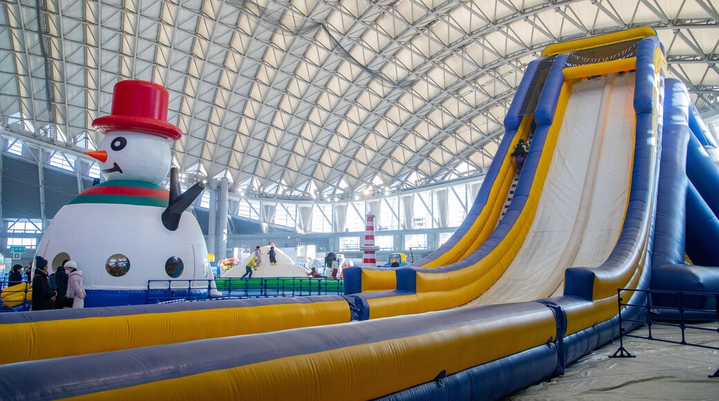 Sapporo Community Dome