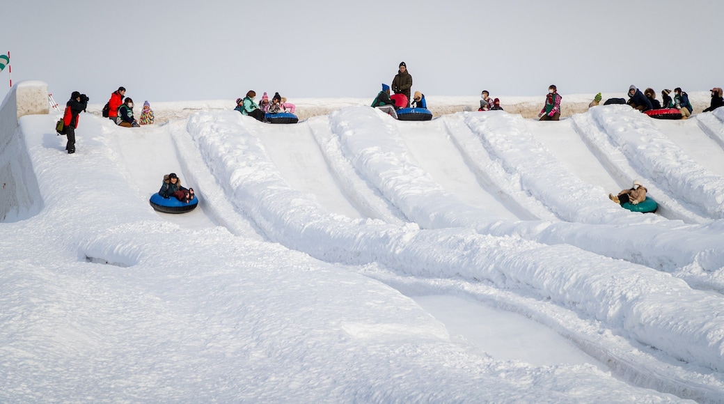 Sapporo Community Dome which includes snow tubing and snow