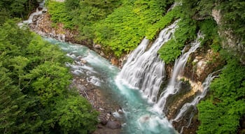 Shirahige Falls which includes rapids, landscape views and a gorge or canyon