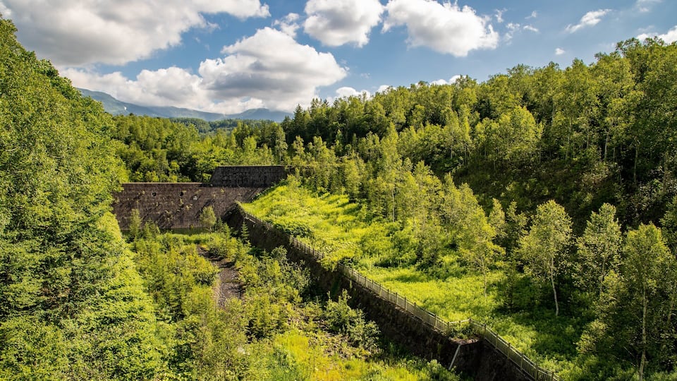 A lush green valley with a stone dam and a wooden bridge.