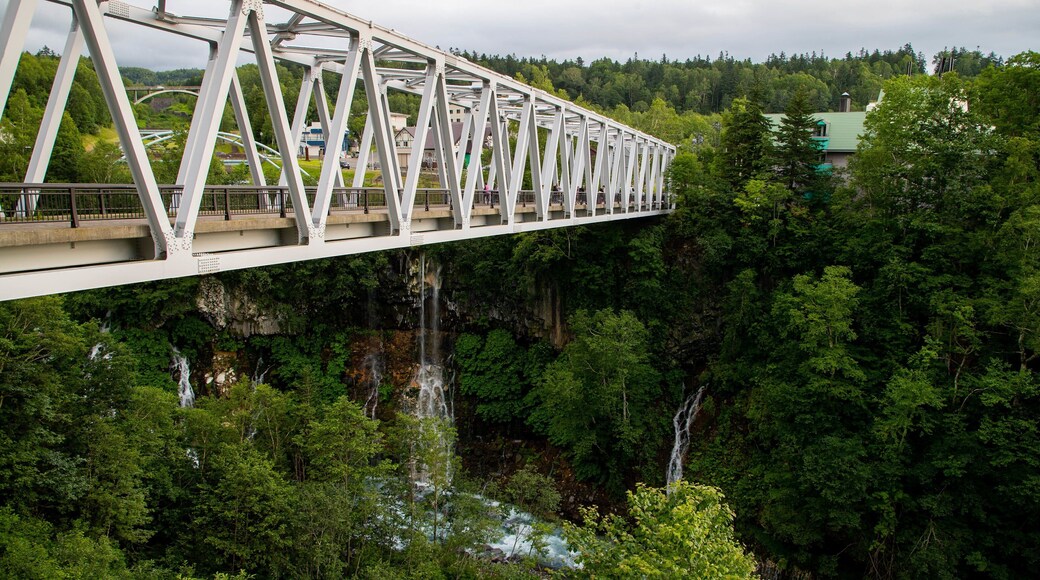 Shirahige Falls featuring forest scenes and a bridge