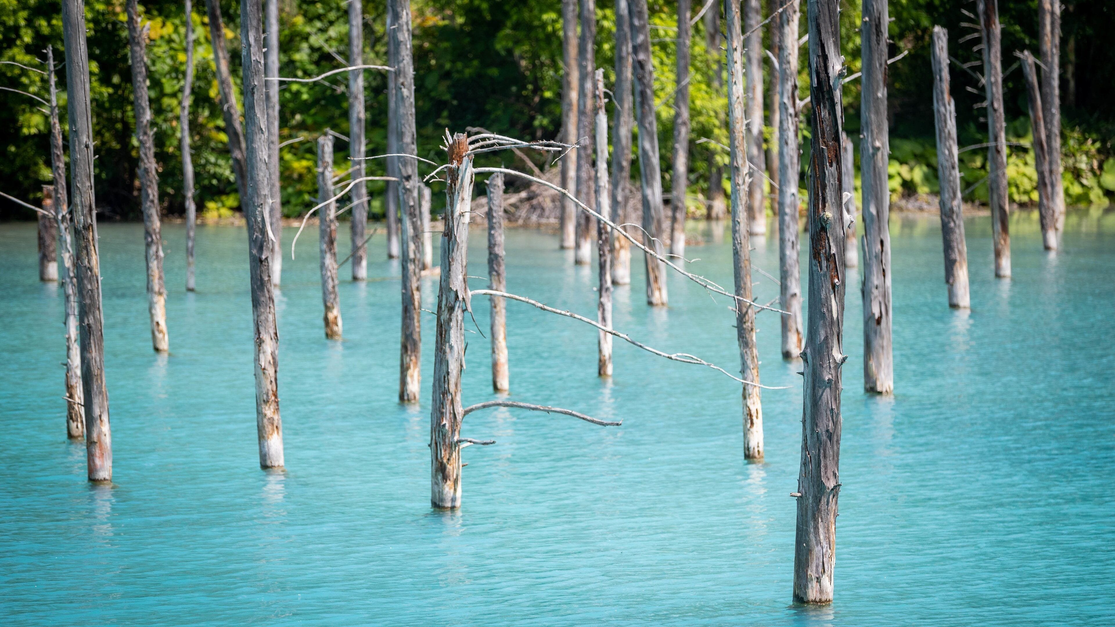 Blue Pond featuring general coastal views and tropical scenes