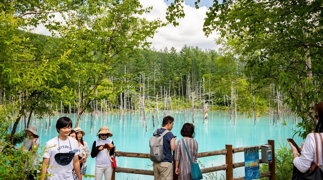 Blue Pond featuring general coastal views and tropical scenes as well as a small group of people