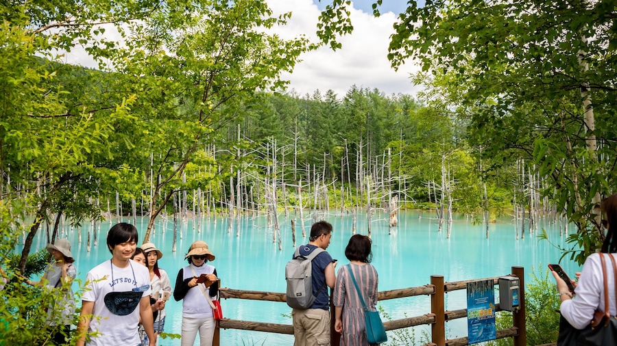 Blue Pond featuring general coastal views and tropical scenes as well as a small group of people