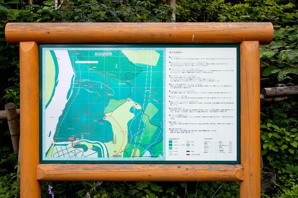 Topographische Karte mit Holzrahmen, umgeben von Grün.
