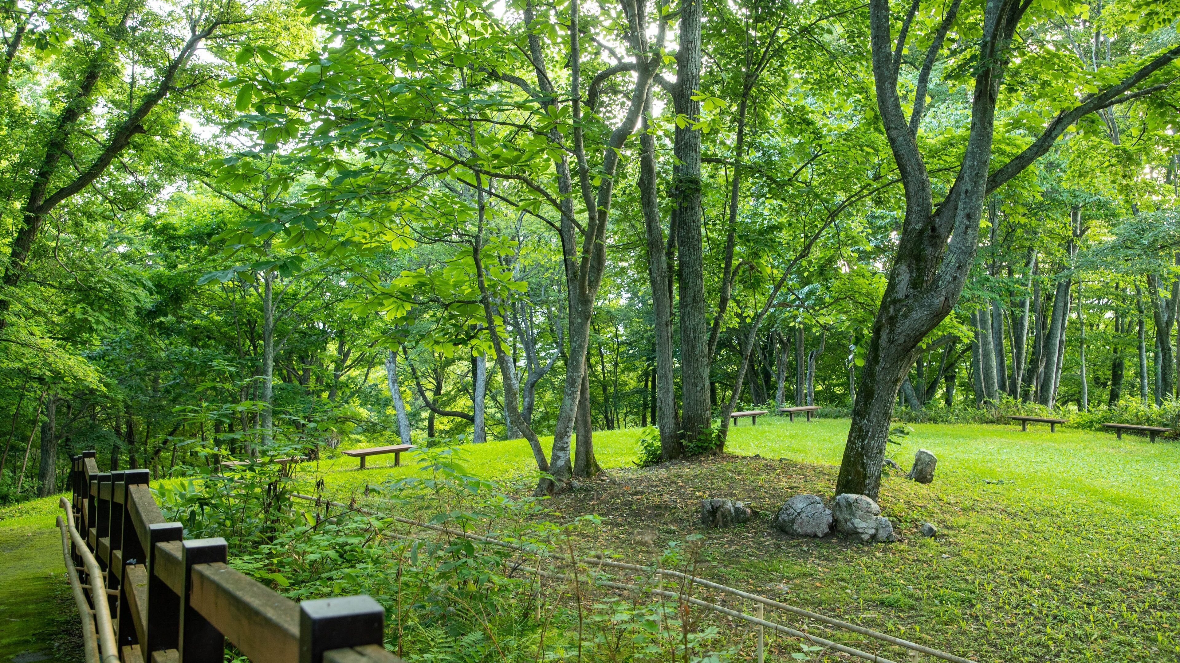 Arashiyama Park featuring a park