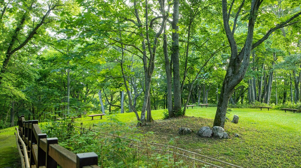 Arashiyama Park featuring a park