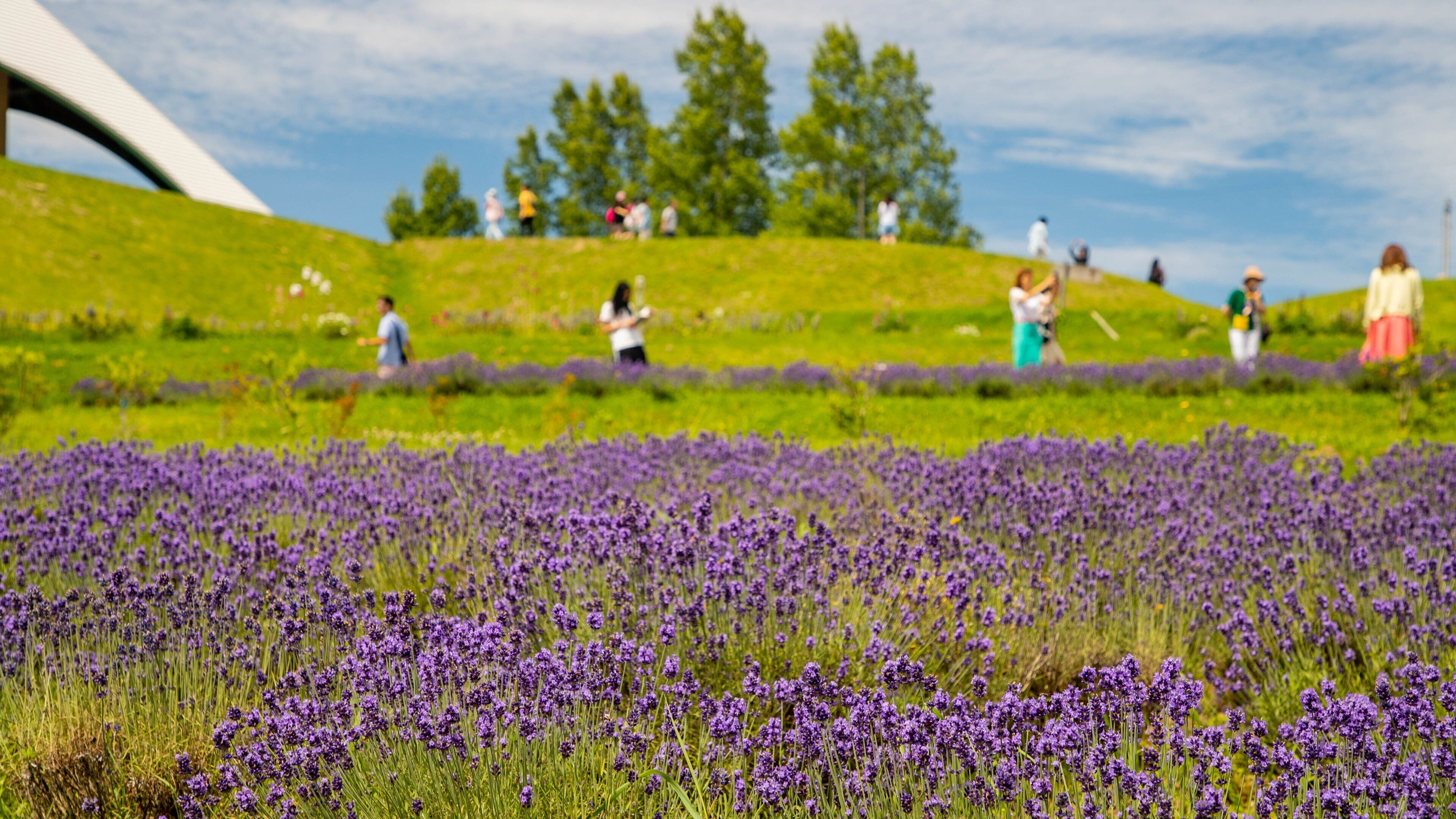 Hokuseinookatenbo Park